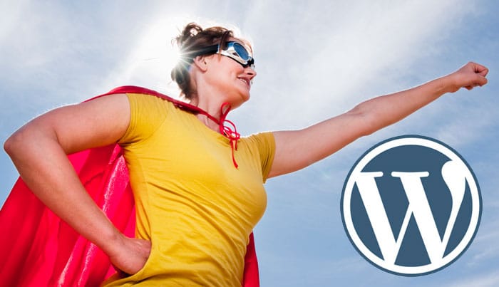 wp hero and content marketing